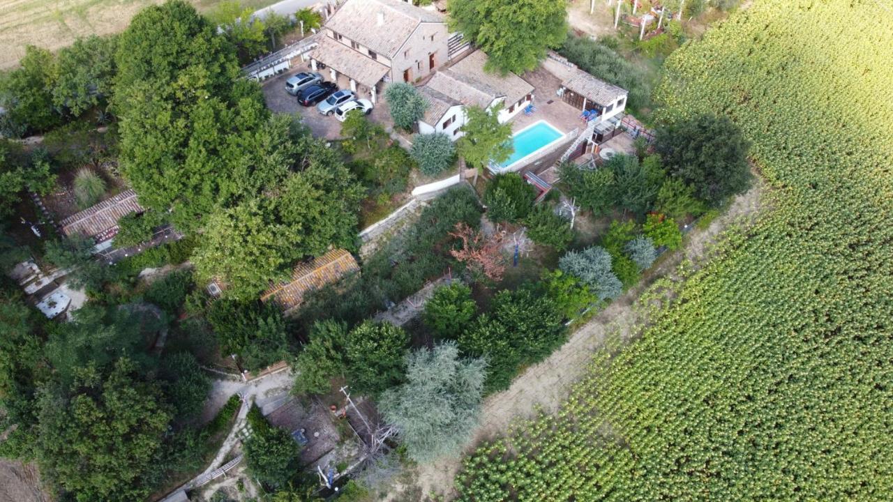 Villa Barbagianni à Senigallia Extérieur photo