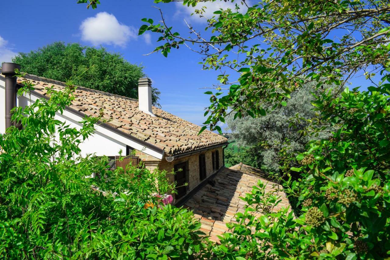 Villa Barbagianni à Senigallia Extérieur photo