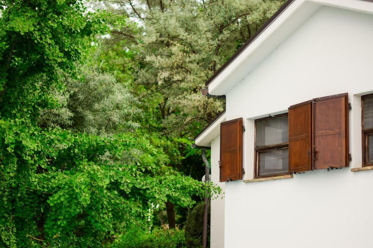 Villa Barbagianni à Senigallia Extérieur photo
